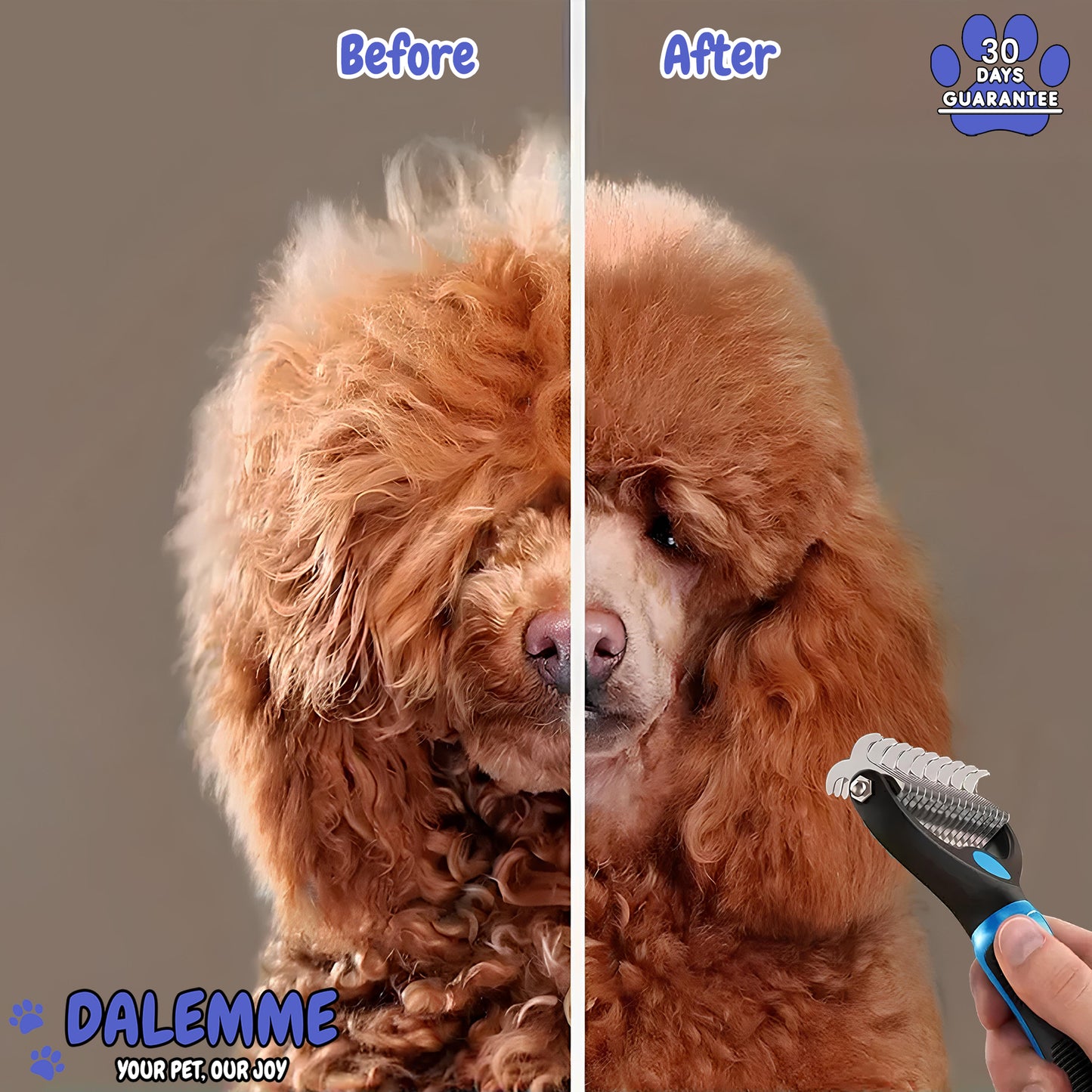 Groomy | Professional Grooming Brush for Dogs & Cats