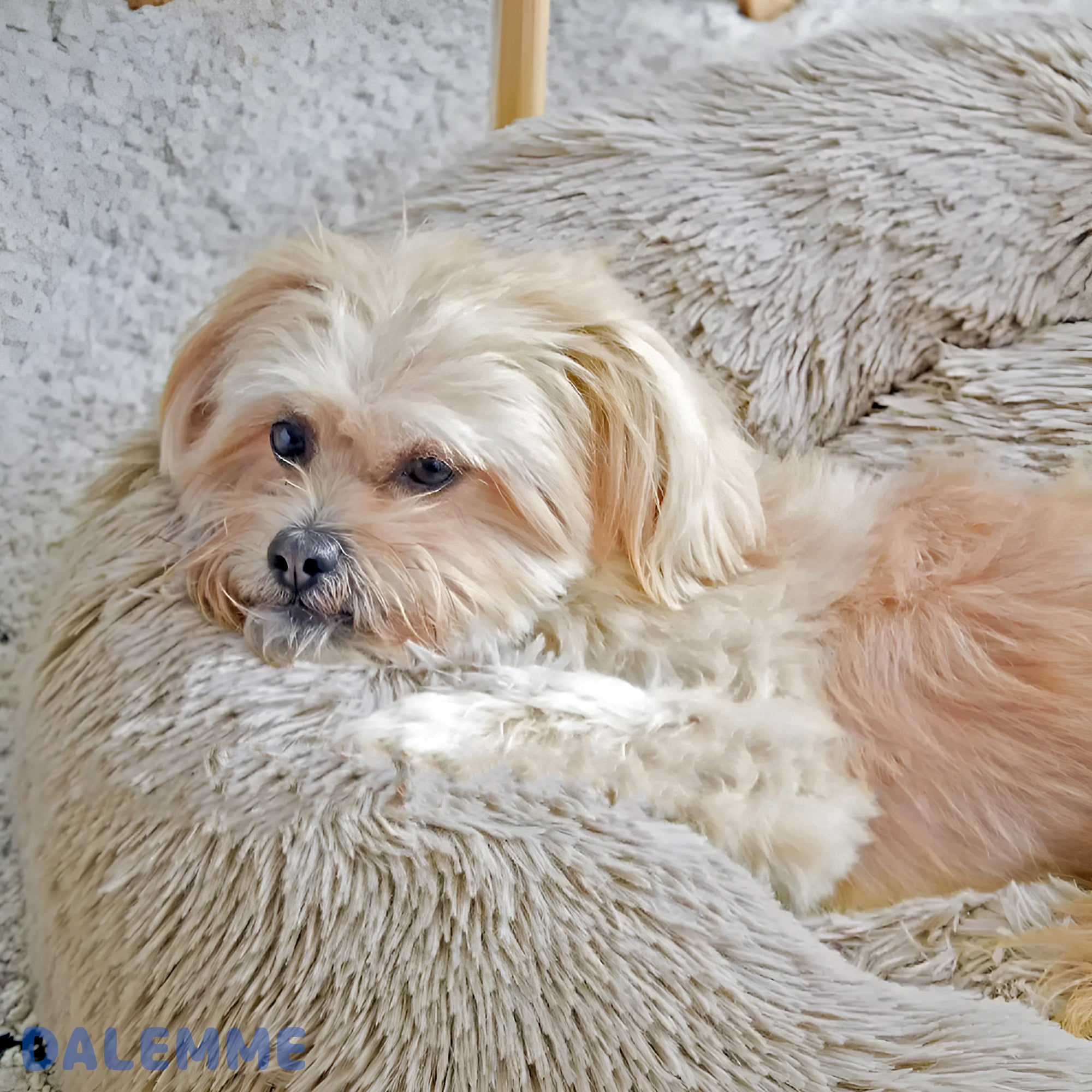 Warmly™ | Warm, Soft Bed For Dogs & Cats